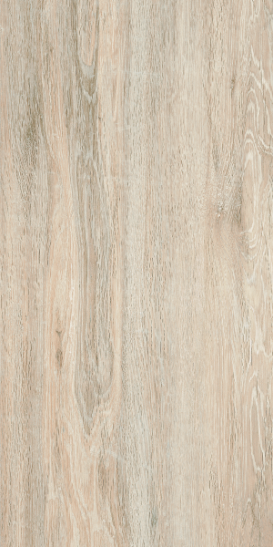 Acacia - Beige