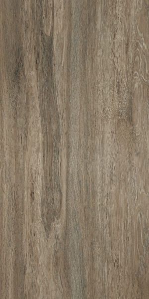 Acacia - Brown