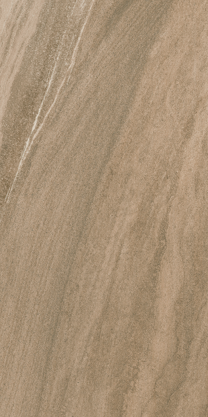 Arenite - Brown