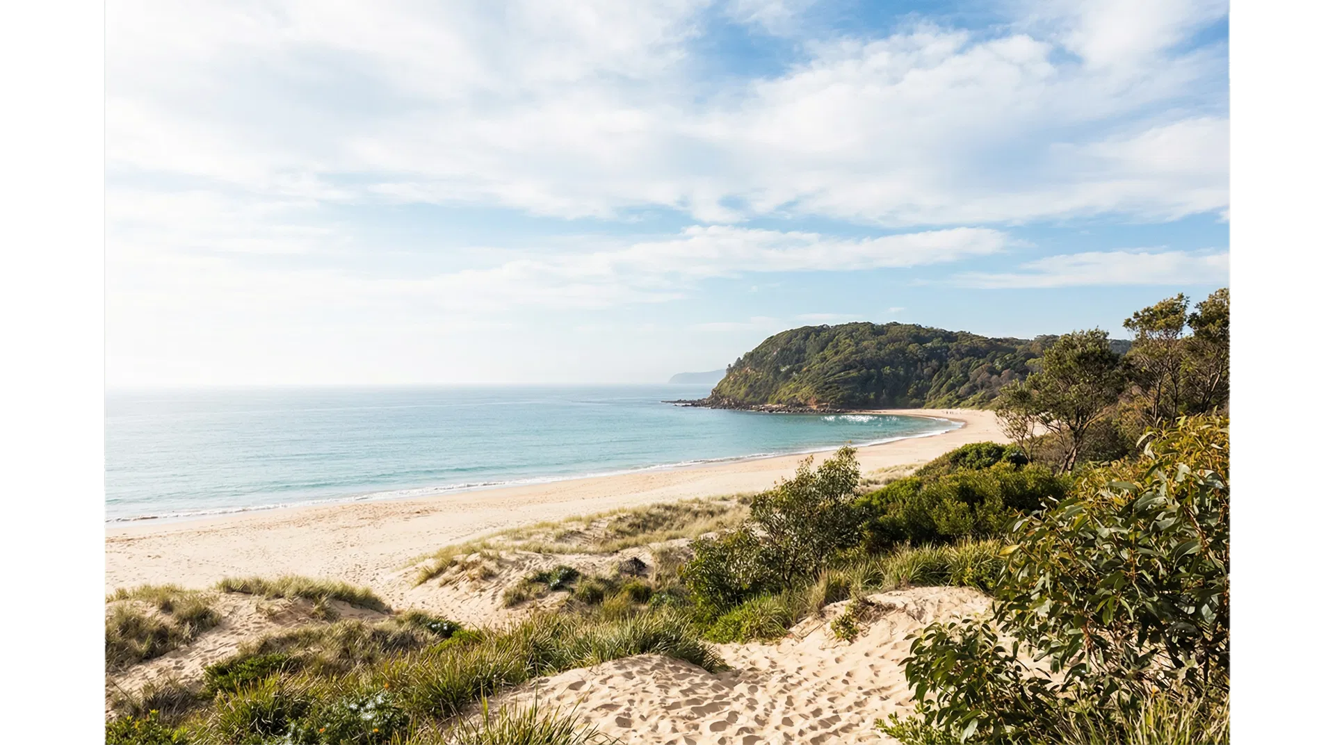 Aerial view of Umina Beach and coastline