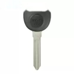 Transponder Key for GM B99-PT Megamos ID 13 Chip