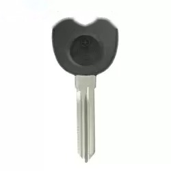 Transponder Key for GM B111-PT PHILIPS ID 46 GM CIRCLE Chip
