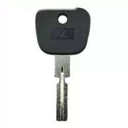 Plastic Head 4-Track Key Key For BMW BS7BW-P HU58P