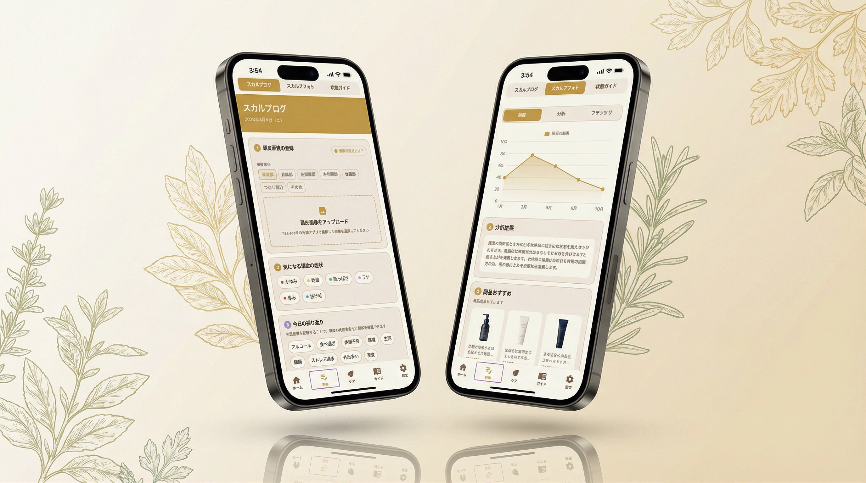 マイスカルプカルテ モックアップ