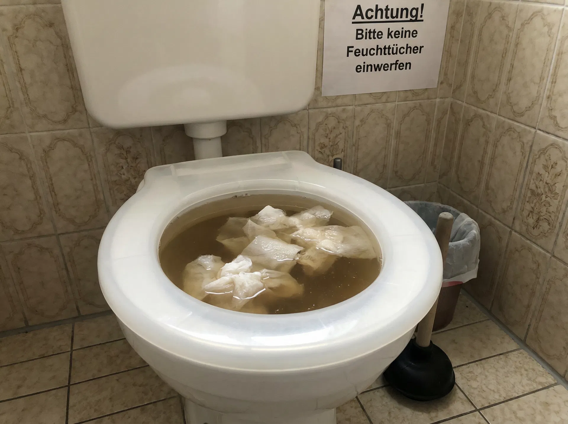 Verstopftes WC – Vorher