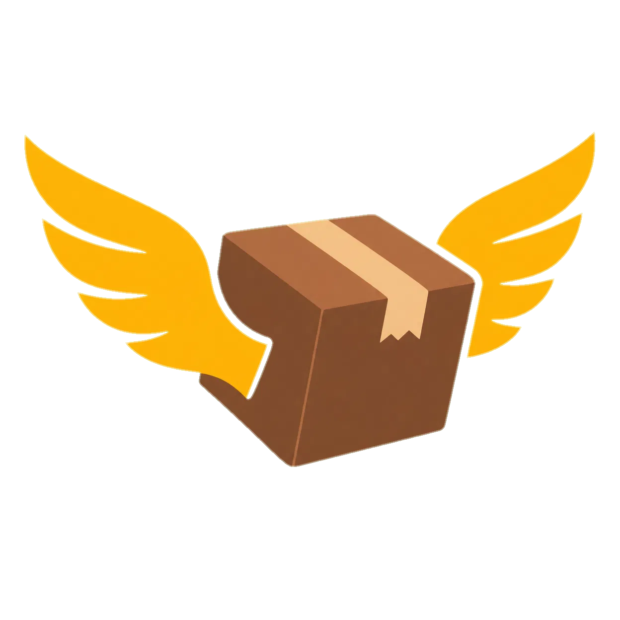 PaccoFly