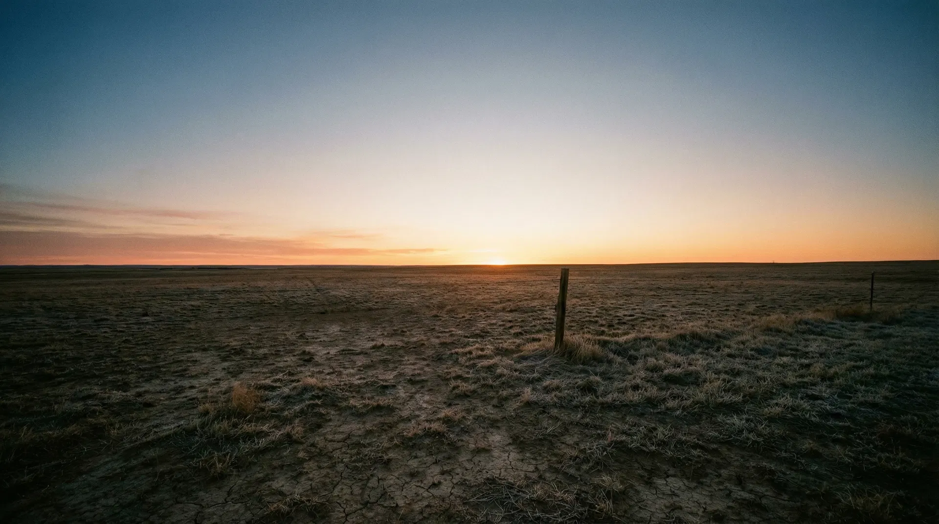 An open field at early morning, golden light breaking over the horizon — the threshold between one season and the next