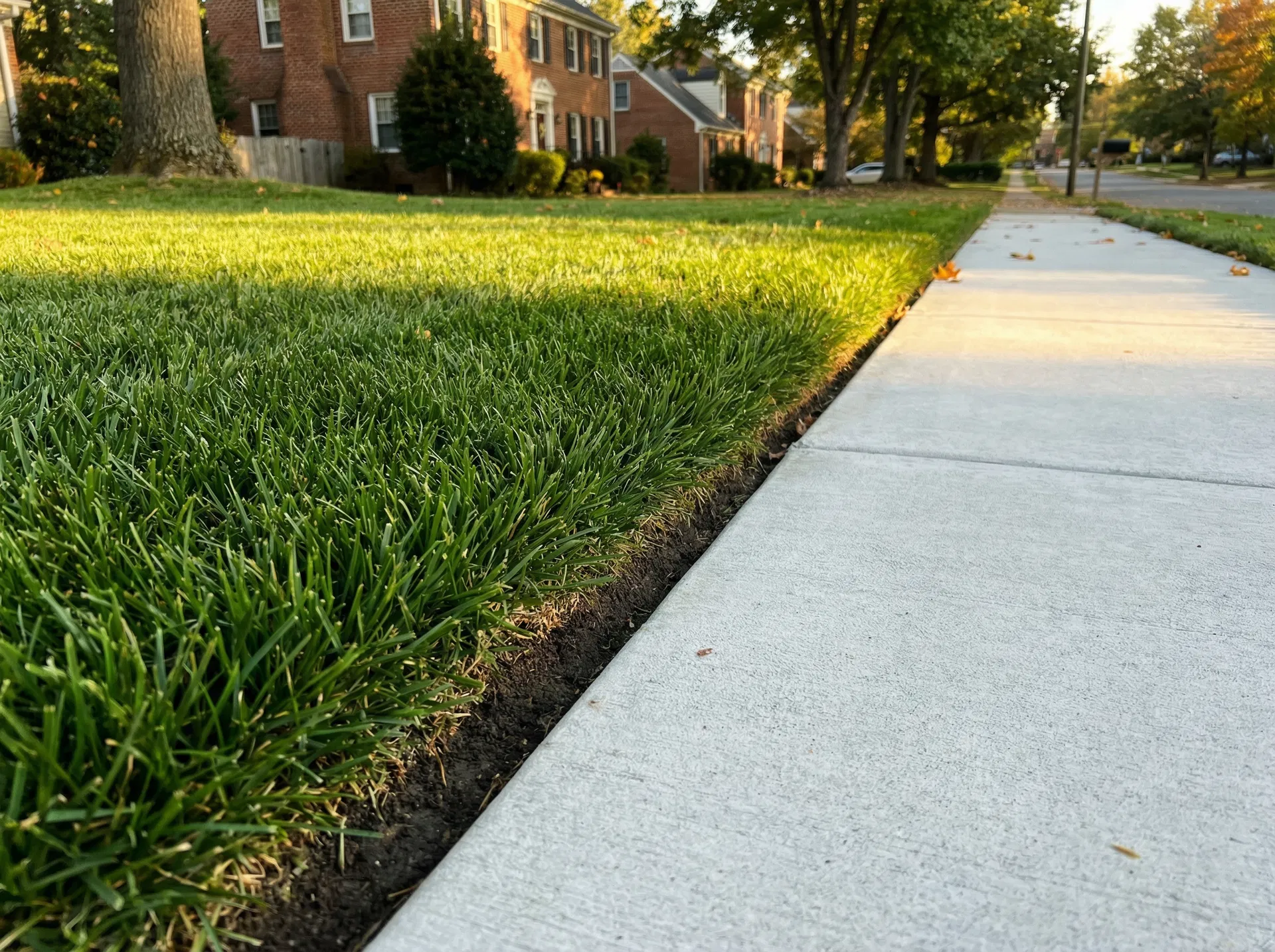 Clean lawn edging