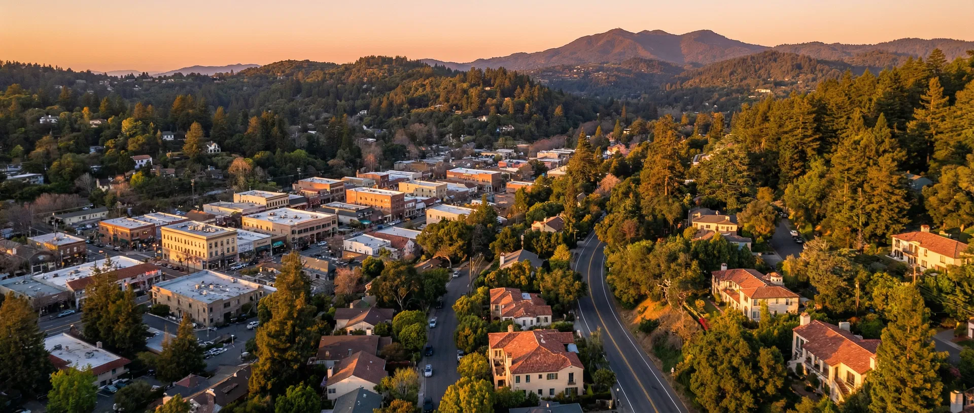 San Anselmo aerial view