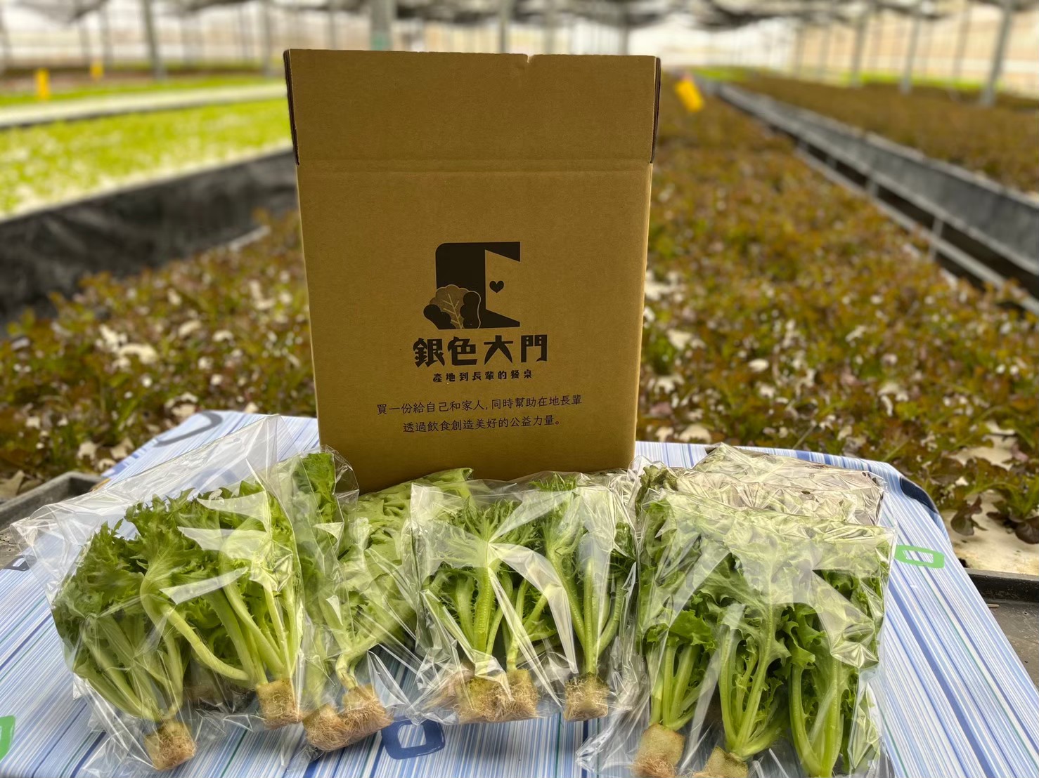 生菜箱產地直送，新鮮冷鏈宅配到家