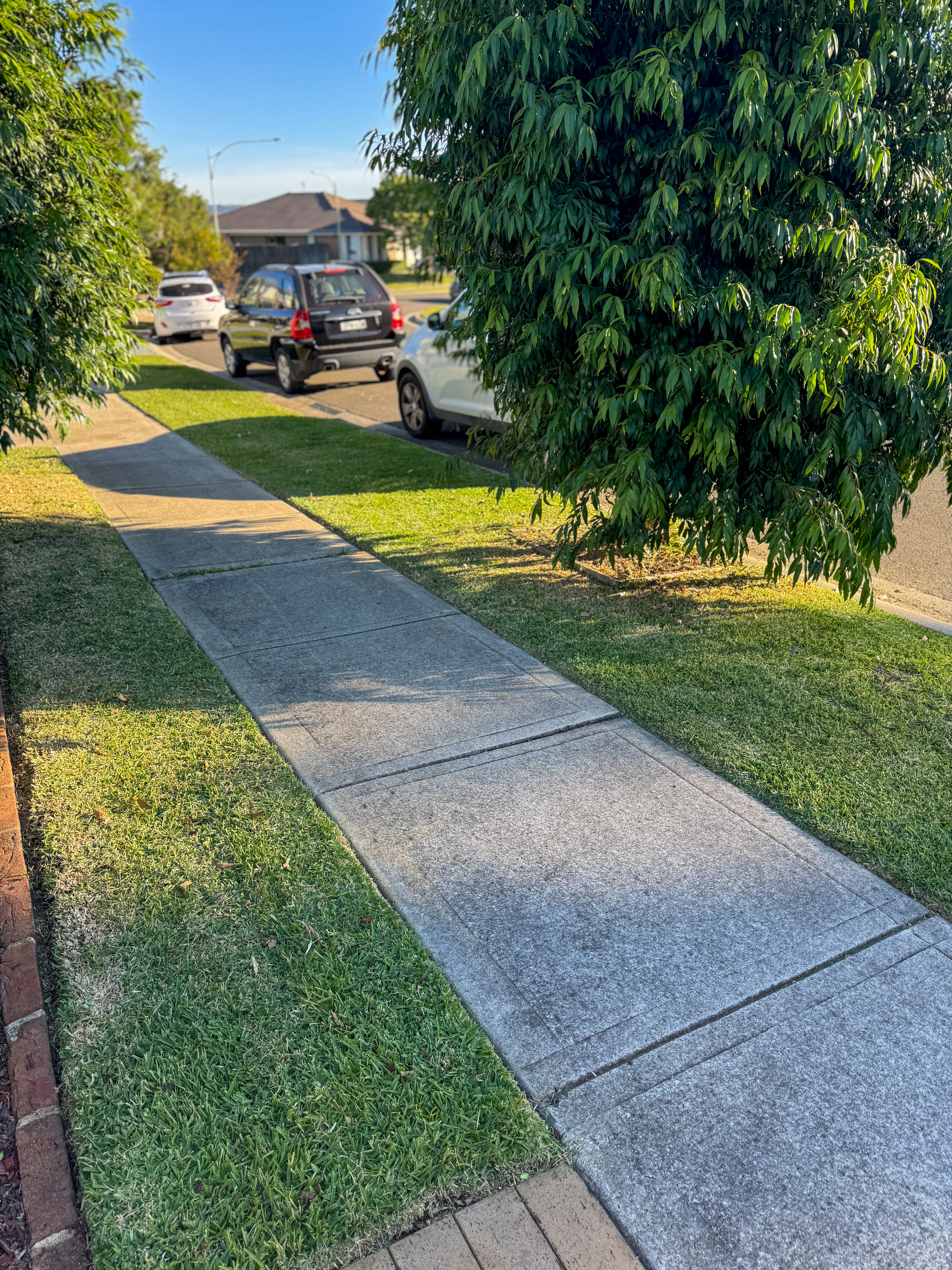 Mow & Edge Trim