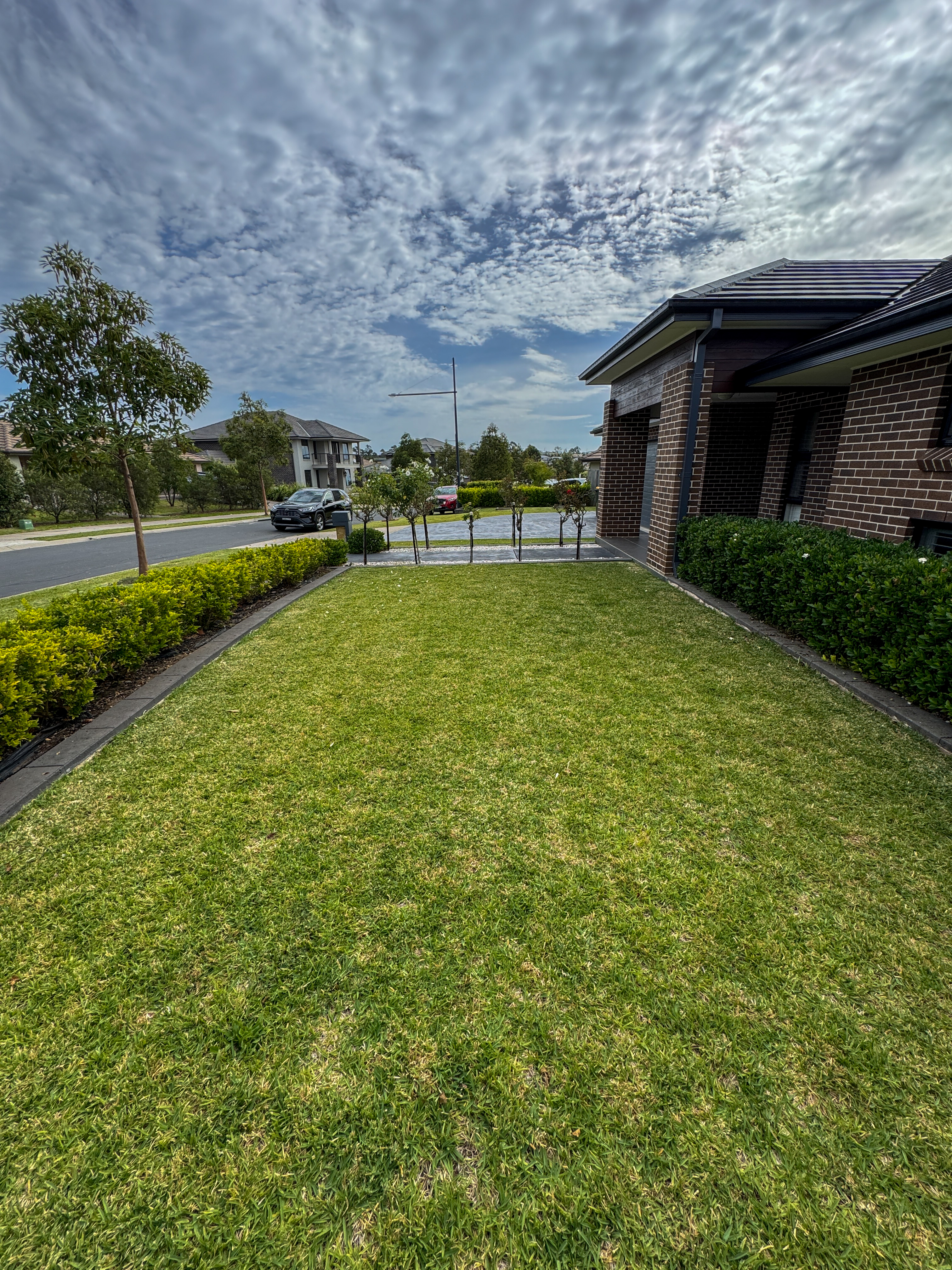 Front Lawn