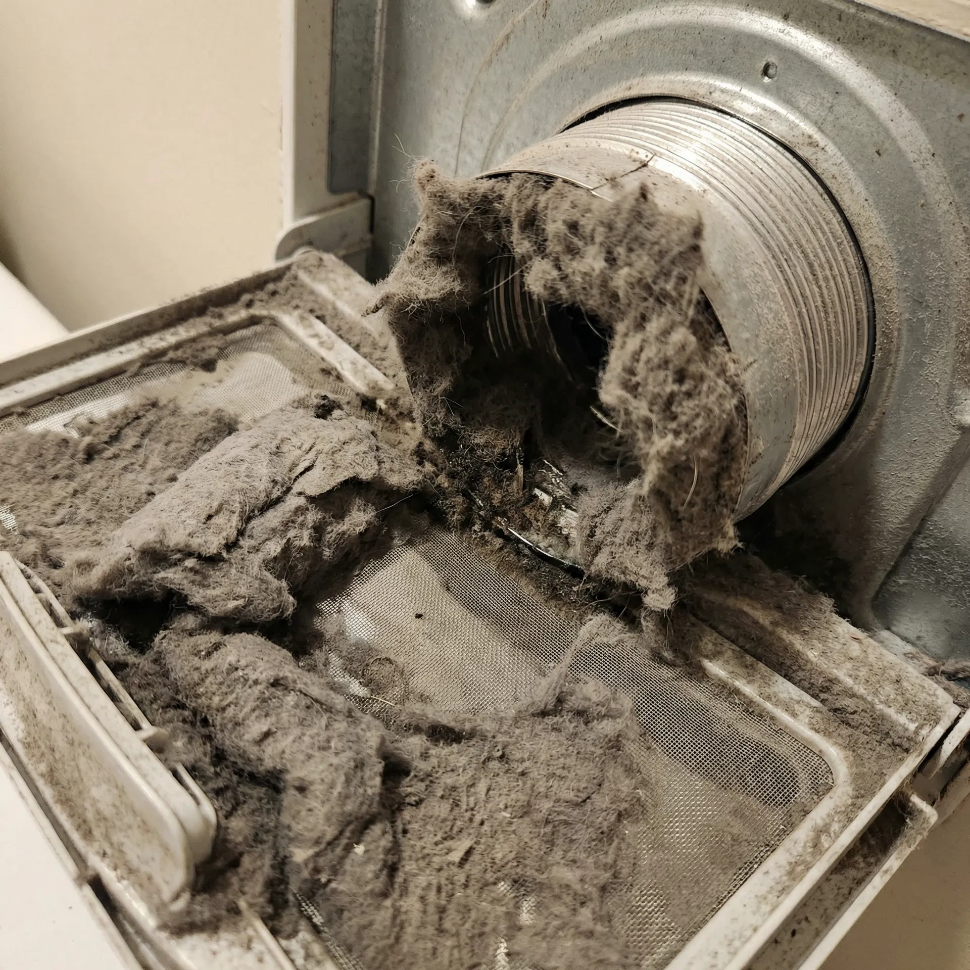 Lint Trap & Exhaust before cleaning - clogged with lint