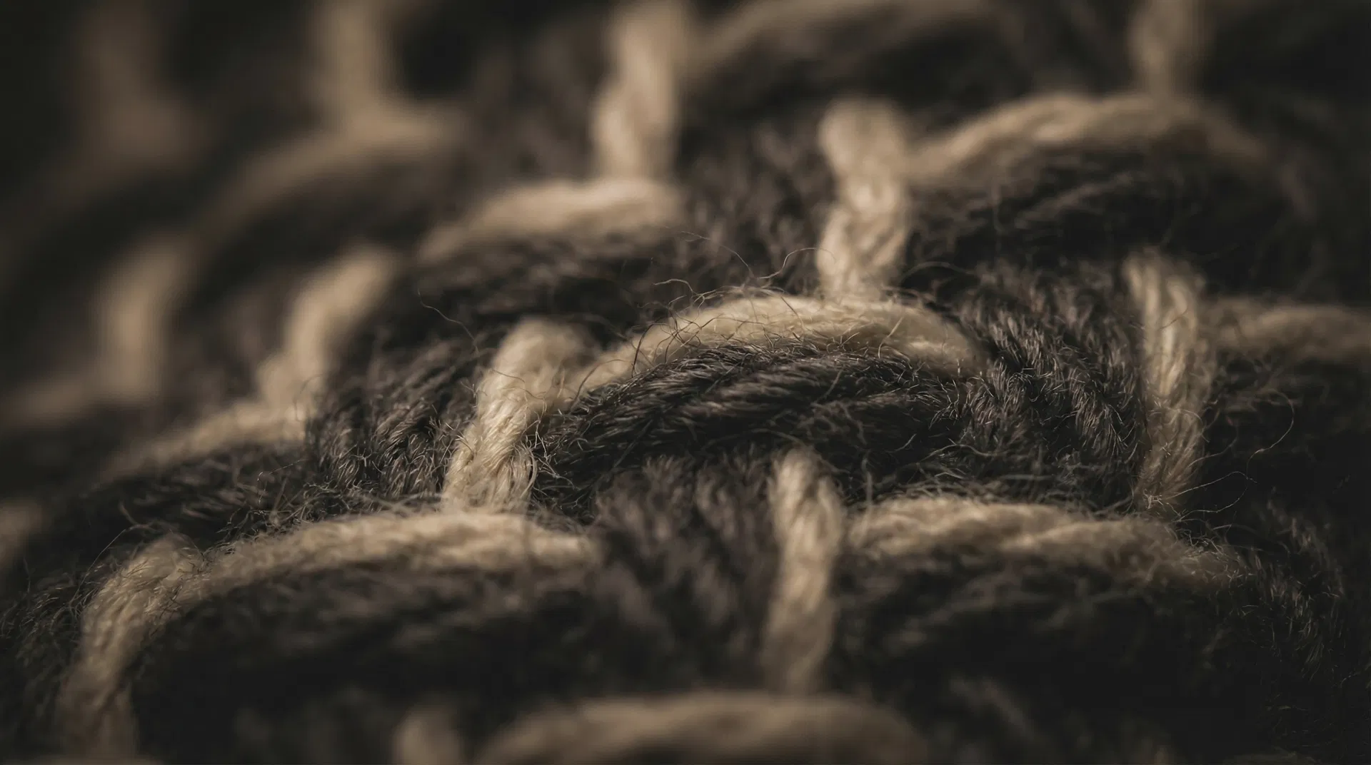 Premium fabric quality — SARĒ