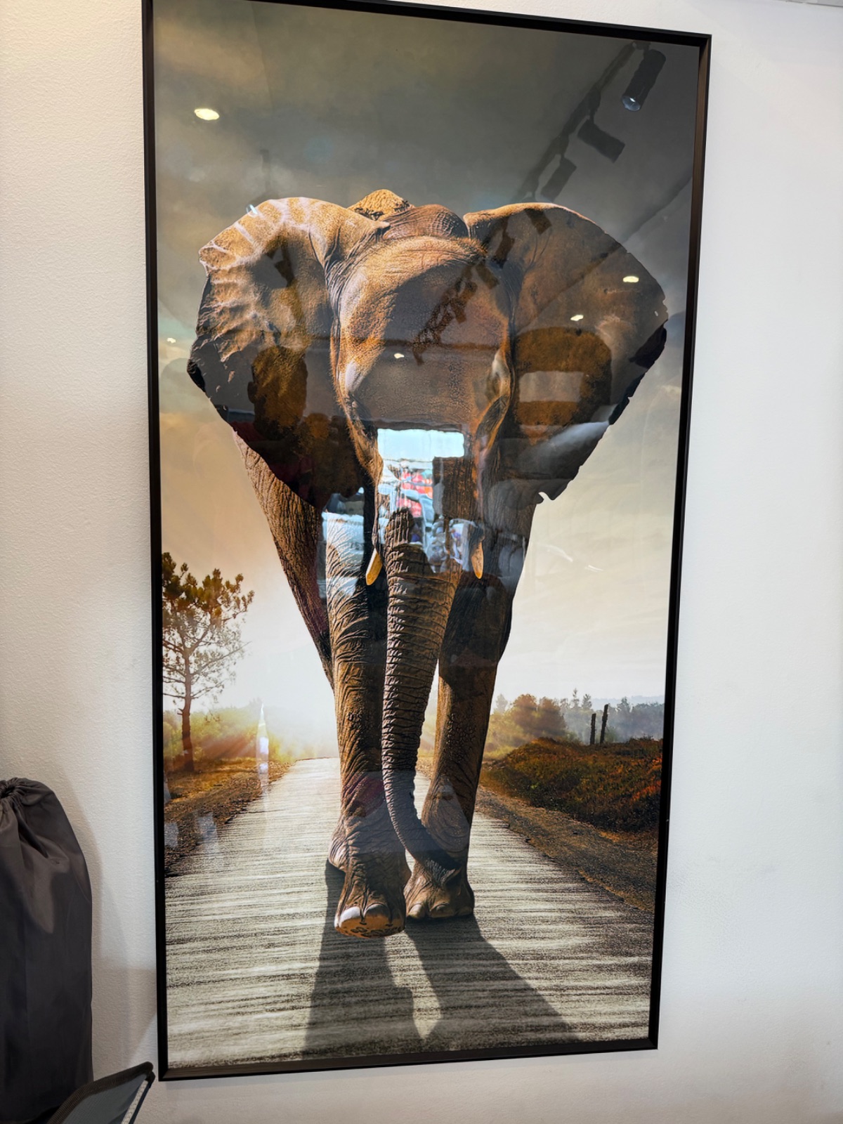 Tableau éléphant 