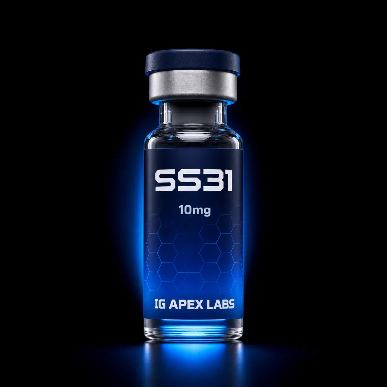 SS31