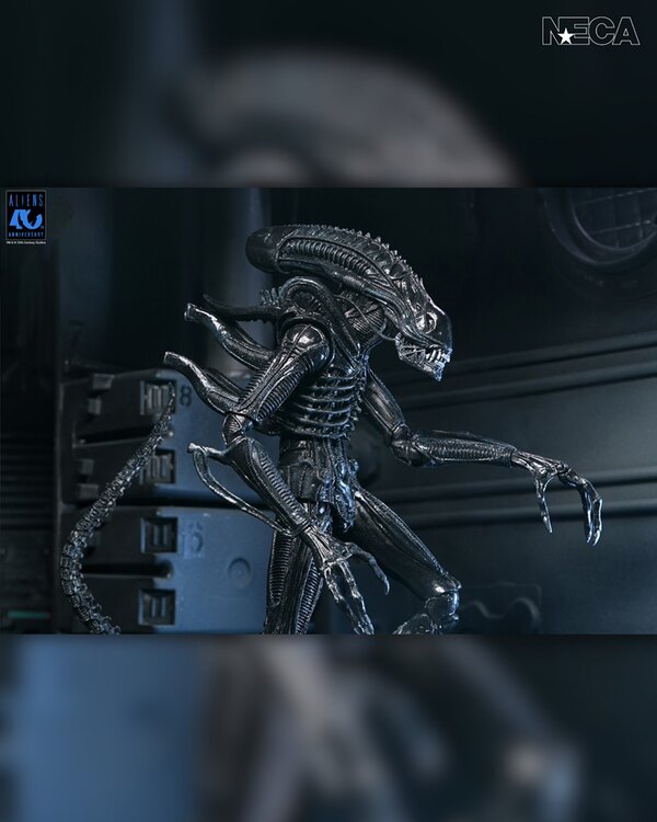 NECA Aliens - 40th Anniversary Ultimate Warrior Xenomorph 7� Scale Action Figure Coming April 26th