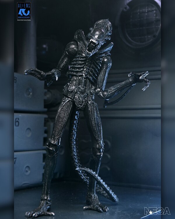 NECA Aliens - 40th Anniversary Ultimate Warrior Xenomorph 7� Scale Action Figure Coming April 26th