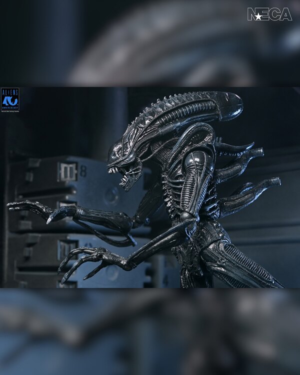 NECA Aliens - 40th Anniversary Ultimate Warrior Xenomorph 7� Scale Action Figure Coming April 26th