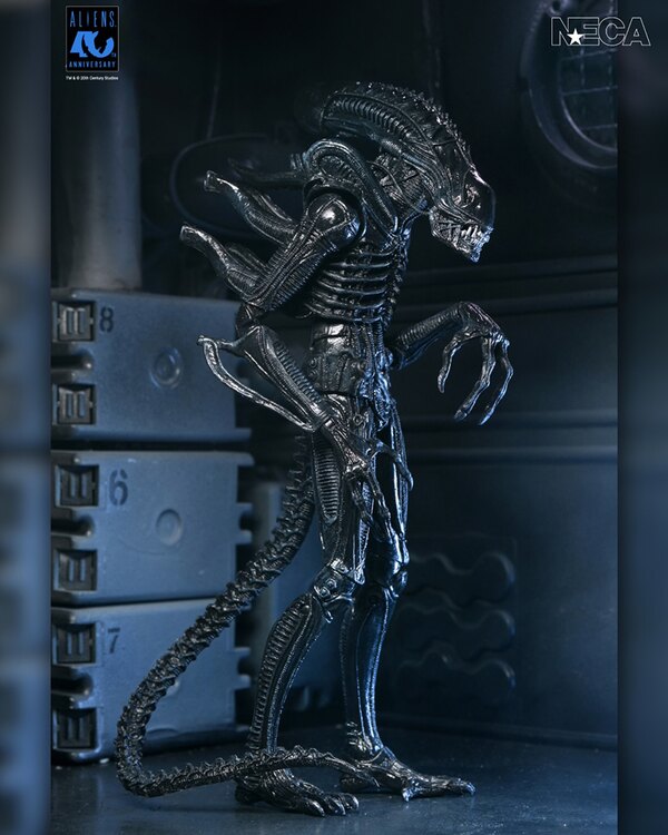NECA Aliens - 40th Anniversary Ultimate Warrior Xenomorph 7� Scale Action Figure Coming April 26th