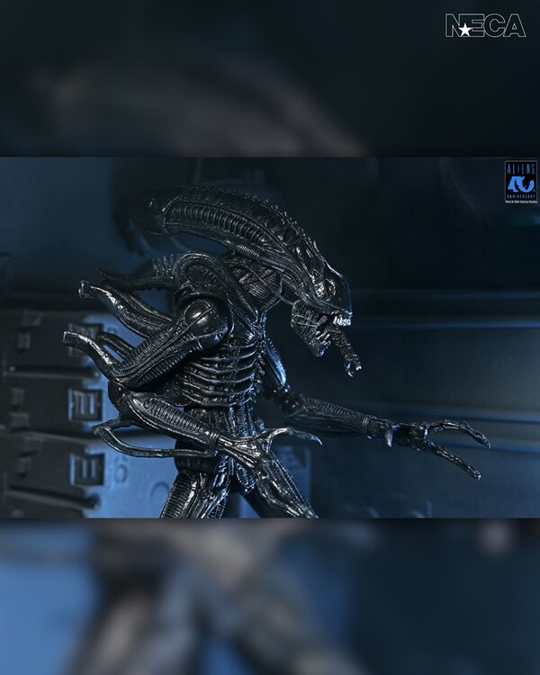 NECA Aliens - 40th Anniversary Ultimate Warrior Xenomorph 7� Scale Action Figure Coming April 26th