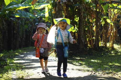 夏の江津湖を満喫しよう