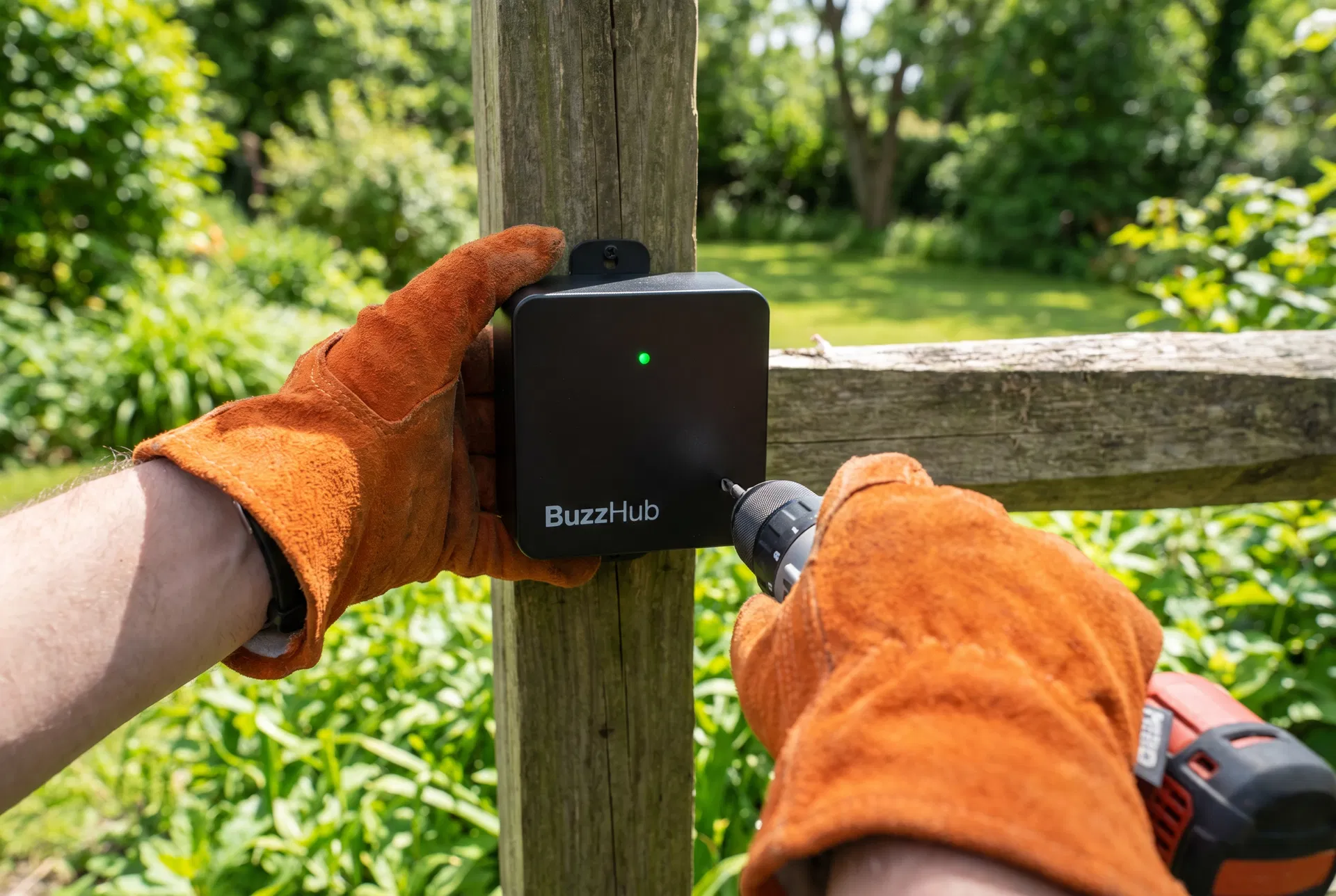 BuzzHubs™ Smart Stations pest