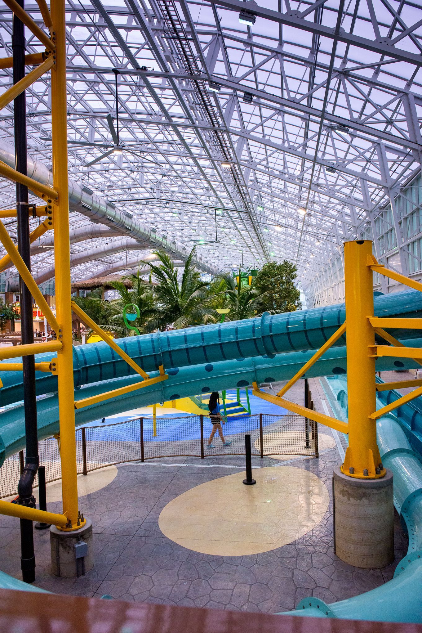 Island Waterpark Grand Opening  photo 347