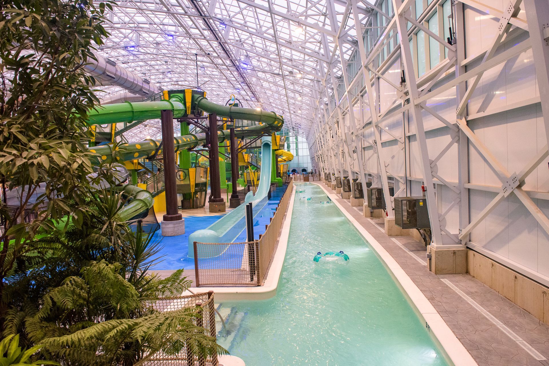 Island Waterpark Grand Opening  photo 310