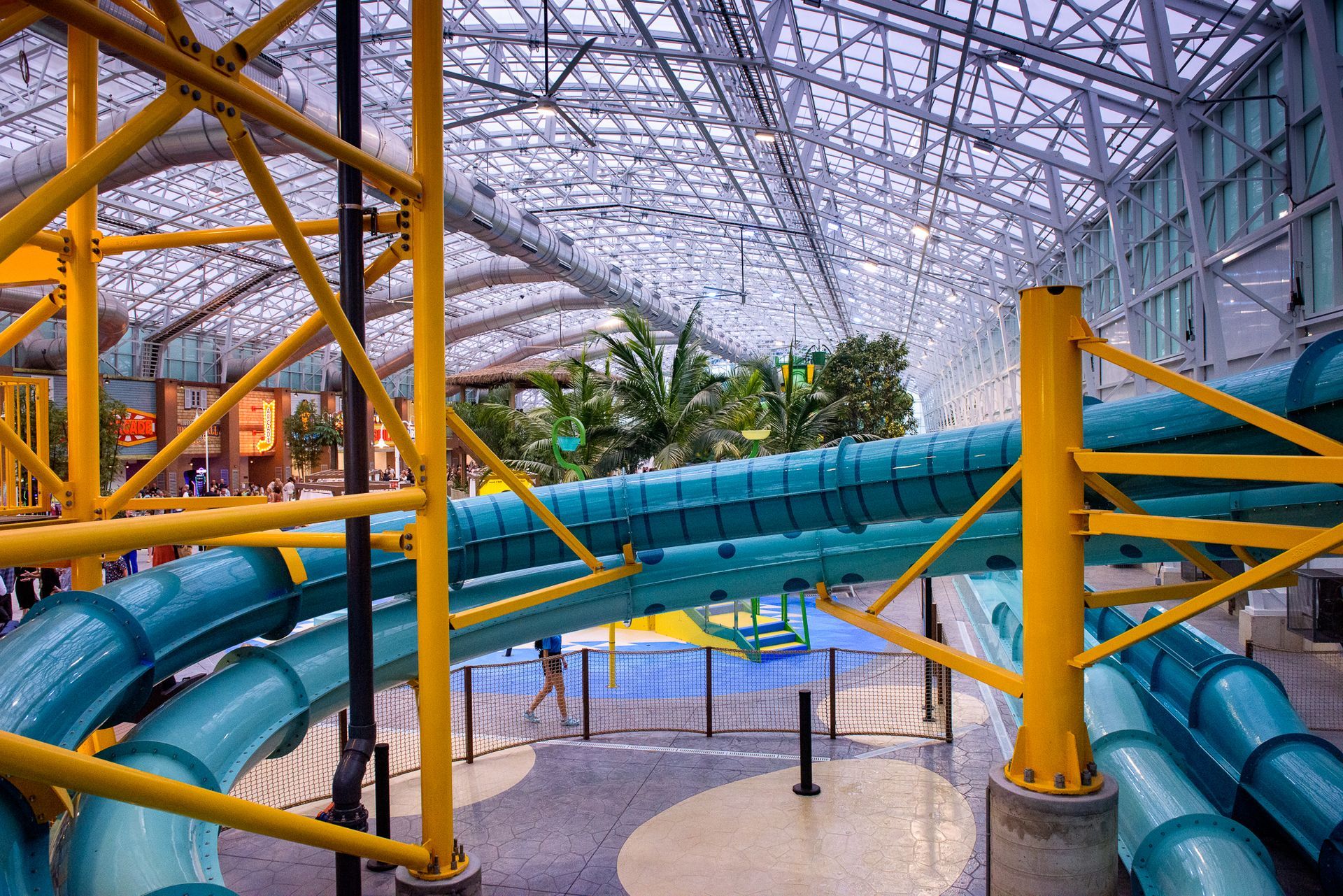 Island Waterpark Grand Opening  photo 348