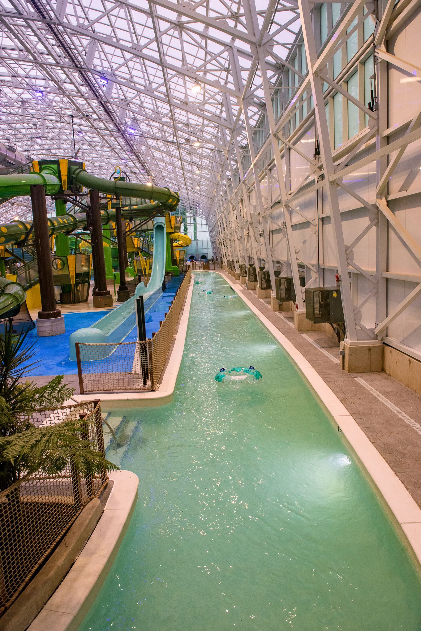 Island Waterpark Grand Opening  photo 311