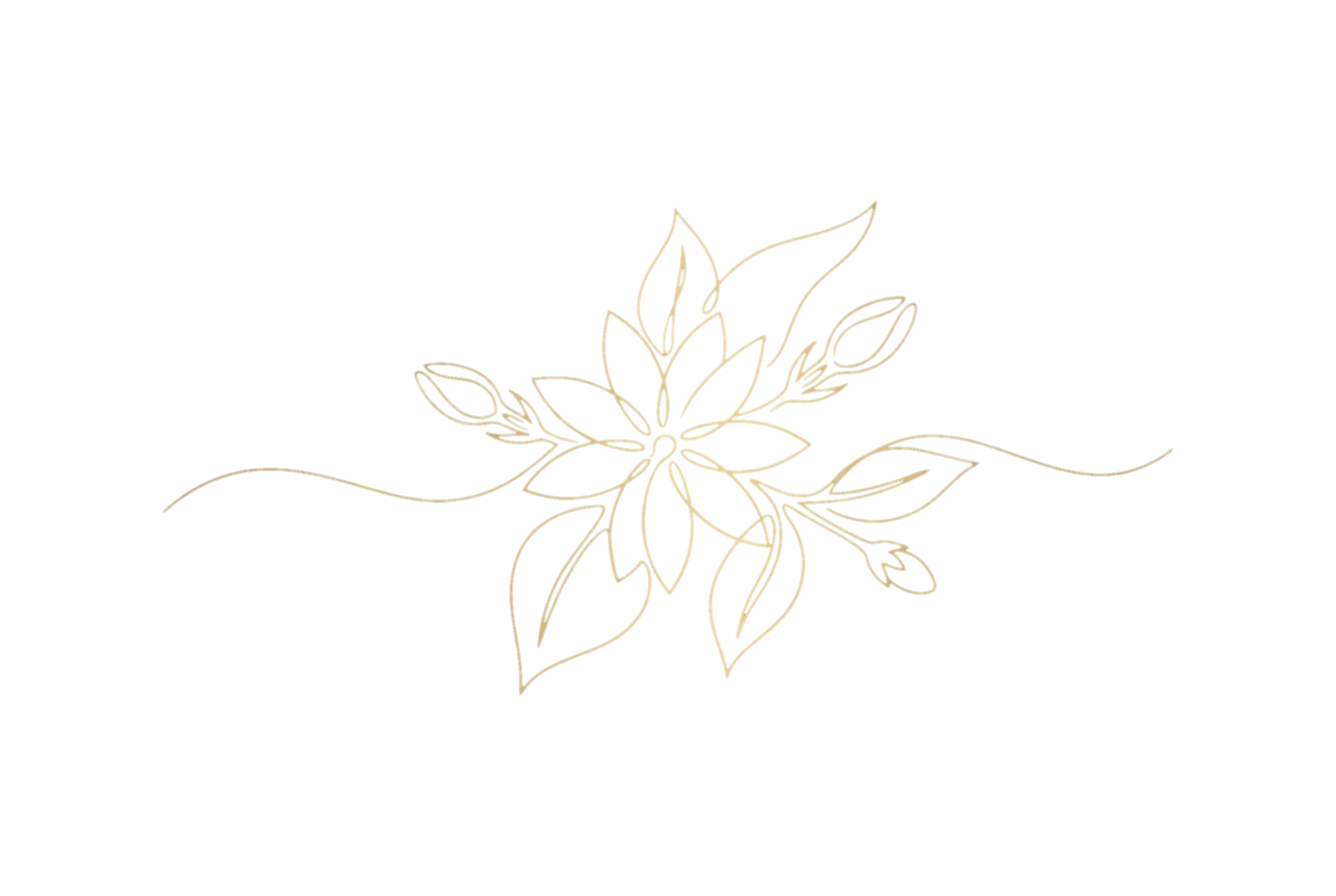 Sampaguita flower illustration