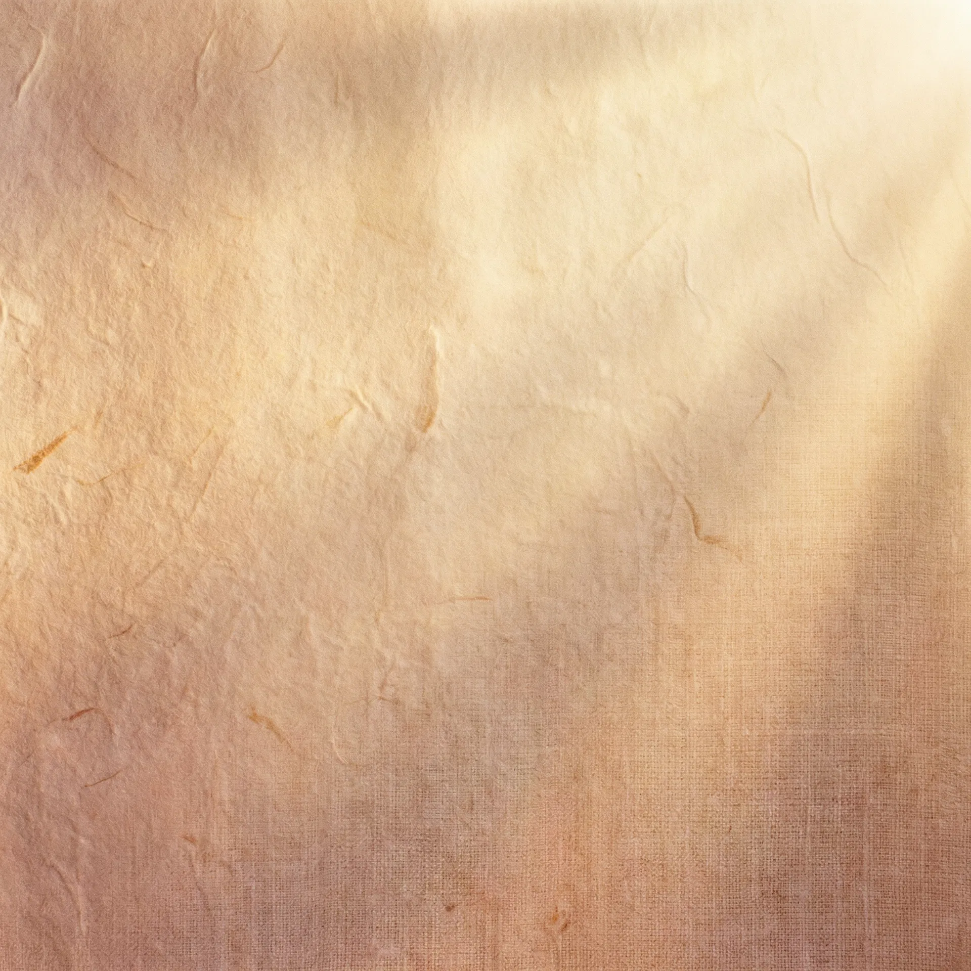 Warm textured background