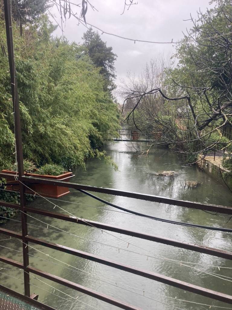 Best Travel Backpacks for International Adventures