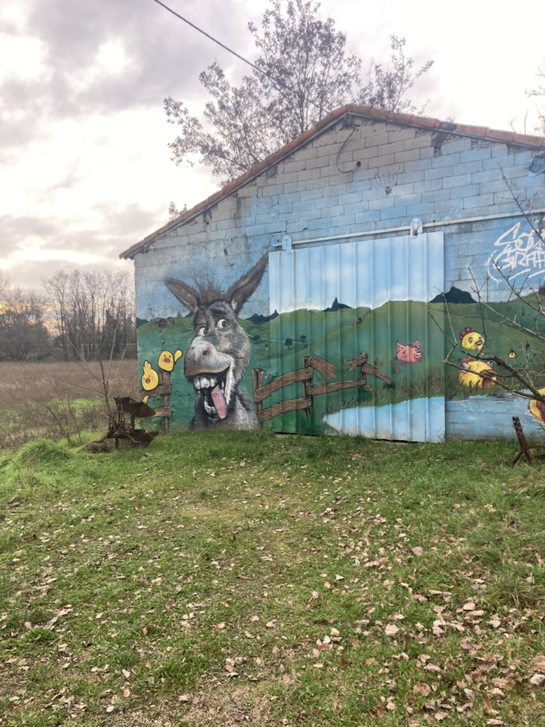 Best Travel Pillows for Long Flights: Ultimate Comfort Guide