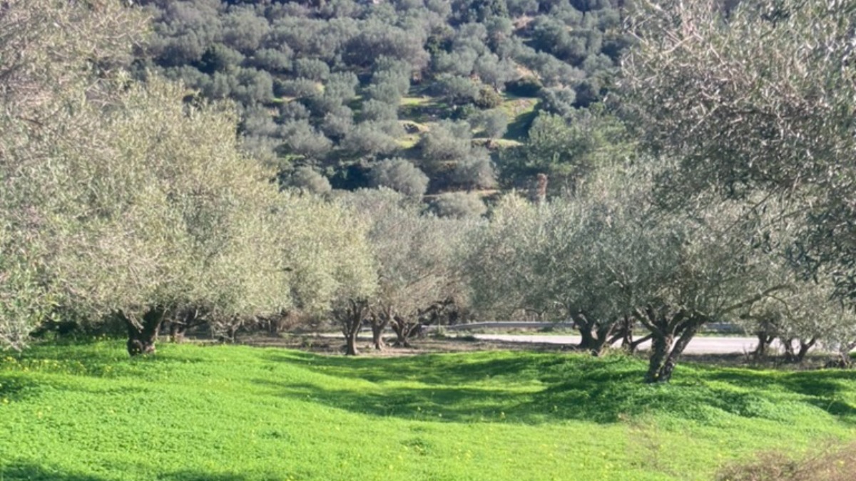 Best Leather Duffel Bags & Carry-Ons for Stylish Travel