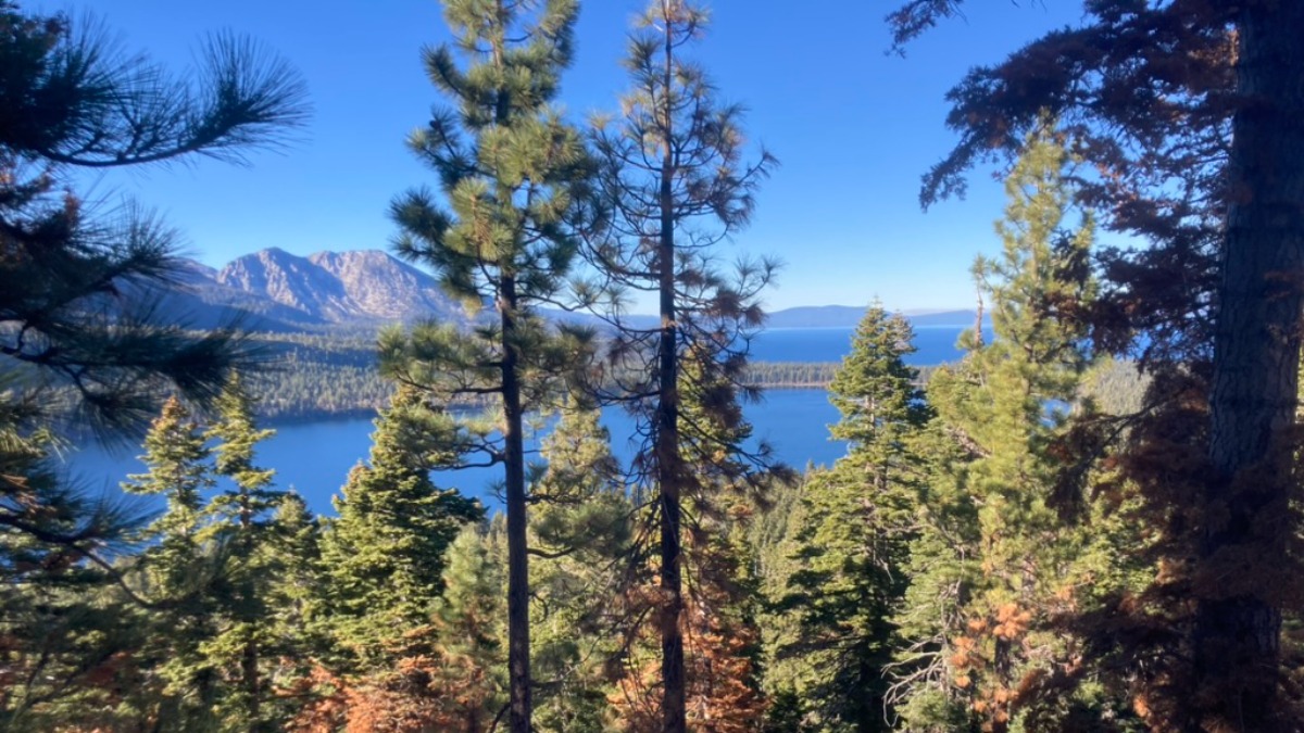 Travel Health & Safety: Essential Gear for a Worry-Free Trip