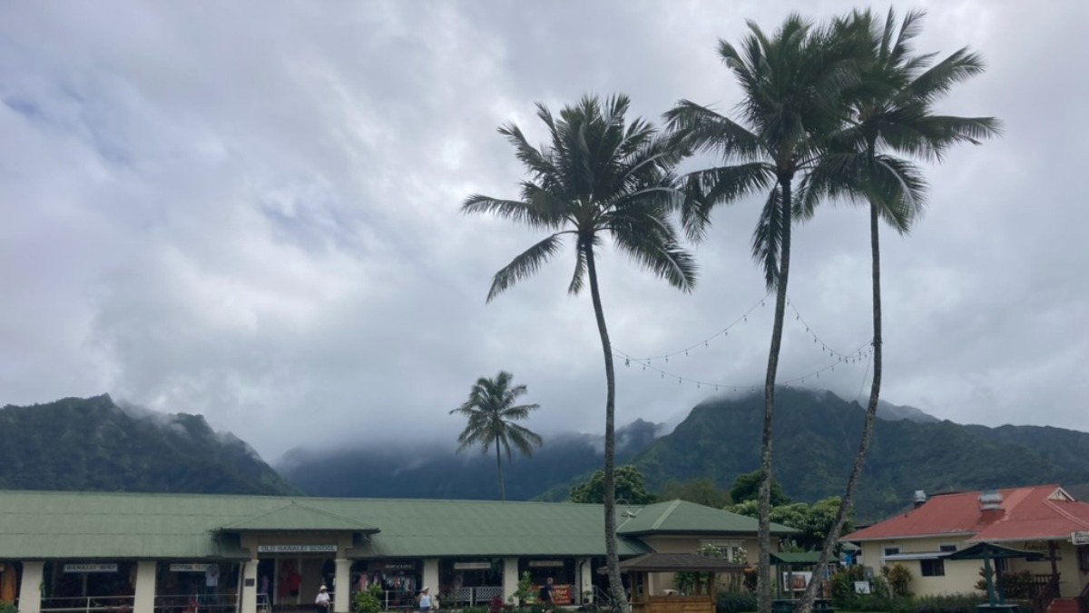 Best Leather Duffel Bags & Carry-Ons for Stylish Travel