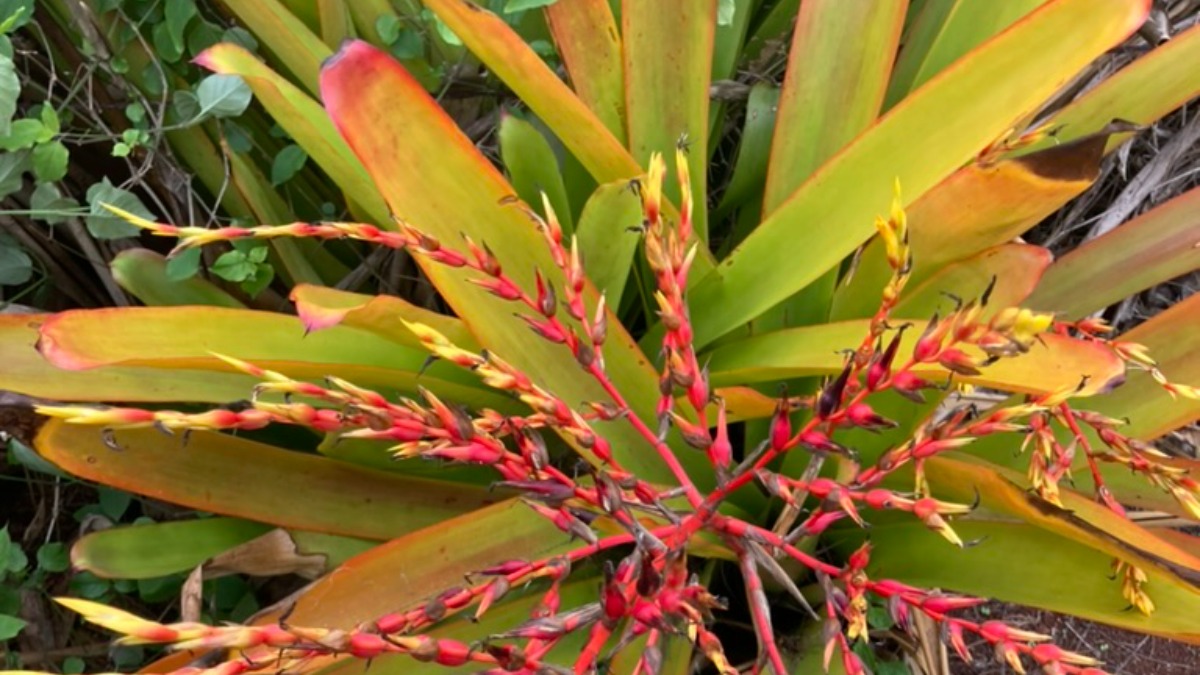 Best Leather Duffel Bags & Carry-Ons for Stylish Travel