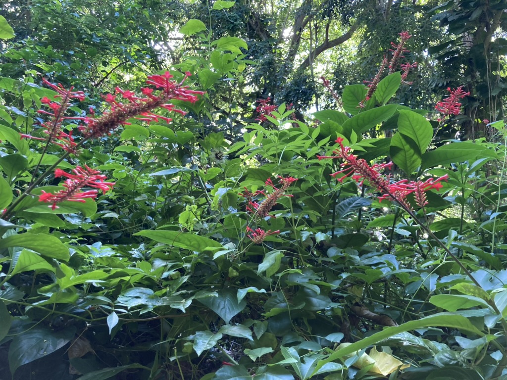 The Best Hiking Backpacks for Travel in 2025