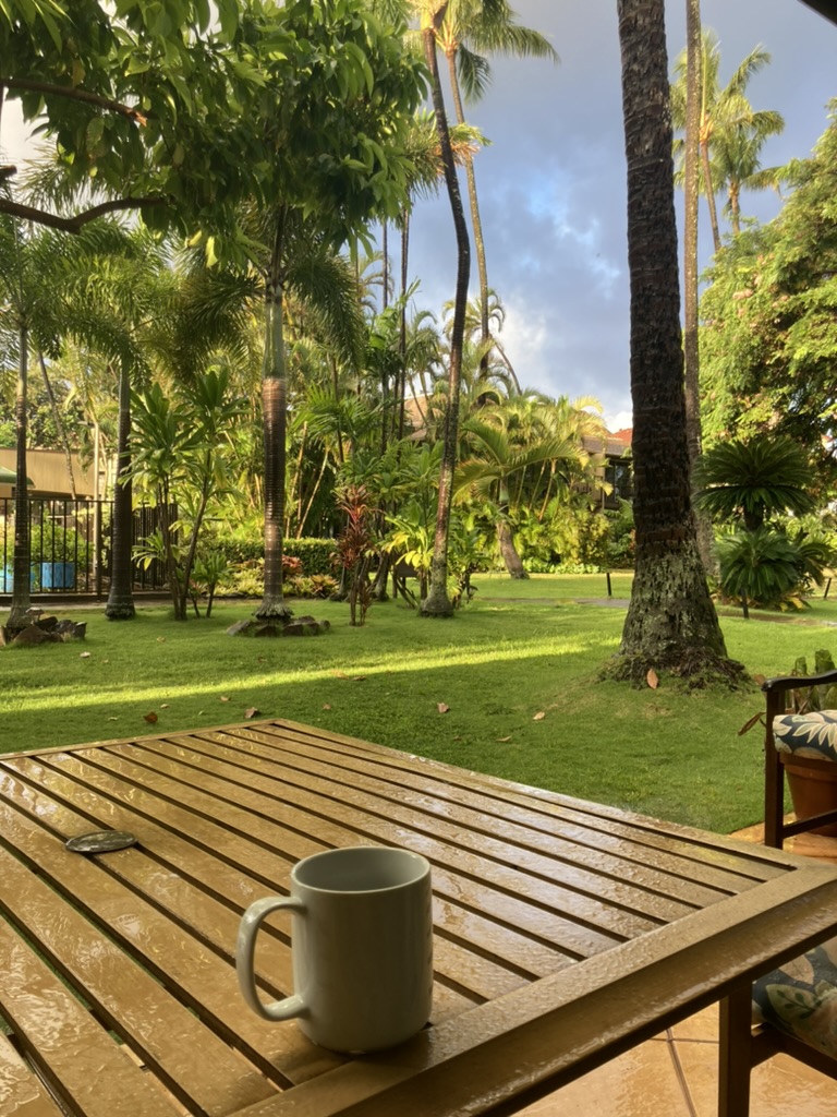 Best Packing Cubes 2025: Master Efficient Travel Organization