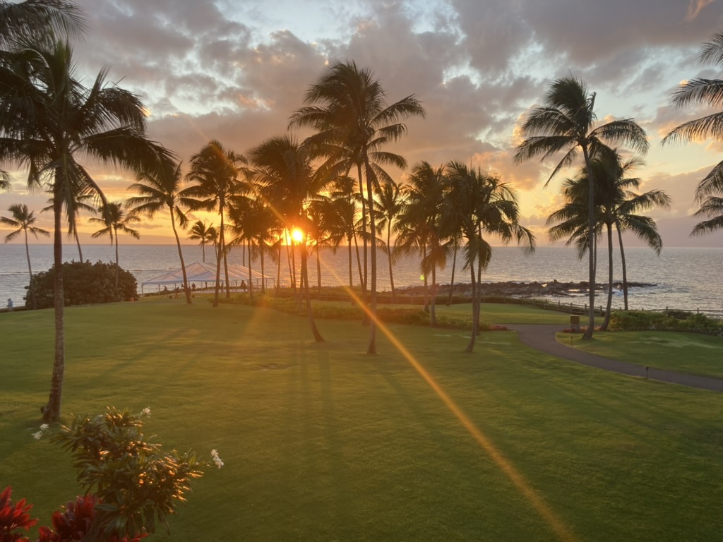 Essential Travel First Aid Kit & Health Tips for Any Trip