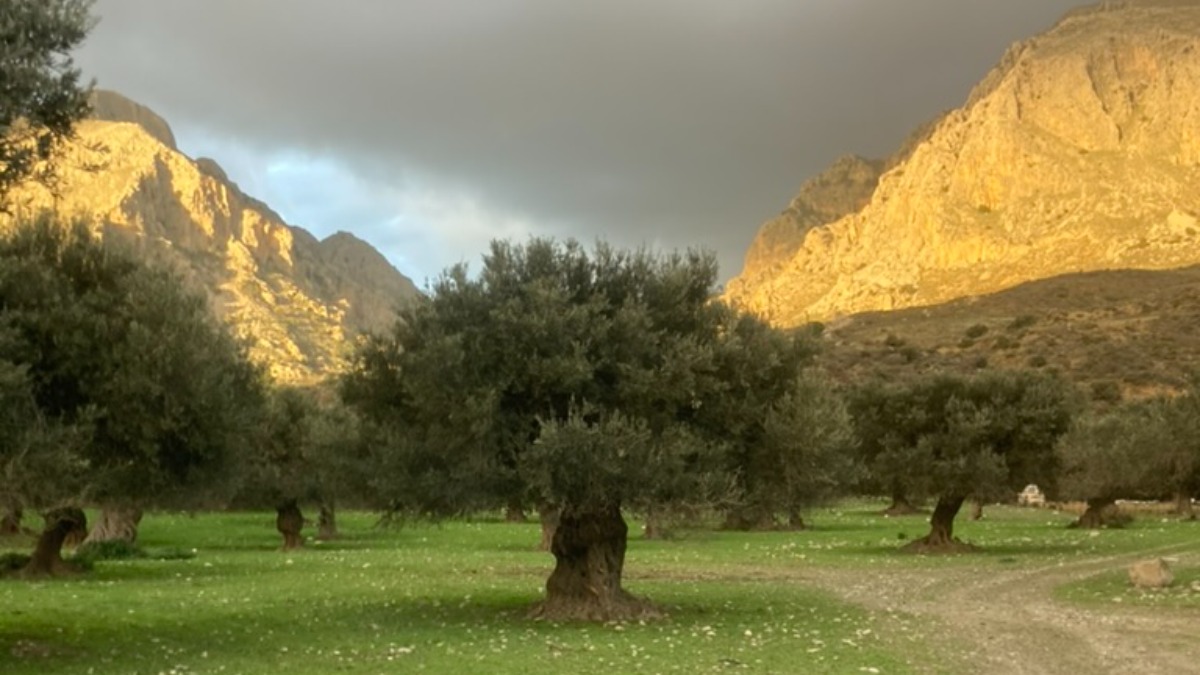 Best Travel Bags: Leather Duffels, Carry-Ons & More Reviewed