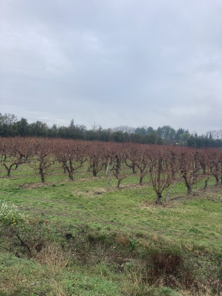 Best Hiking Backpacks & Ultralight Gear for Adventure Travel