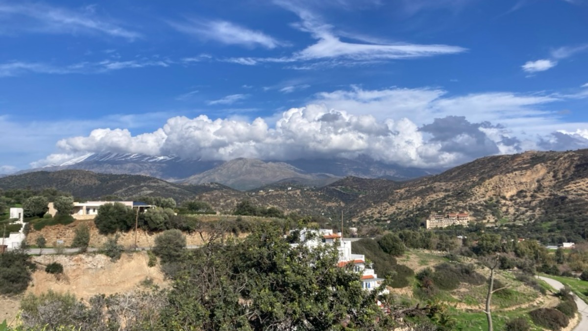 Beyond the Roller: Luxury Leather Duffels & Carry-Ons