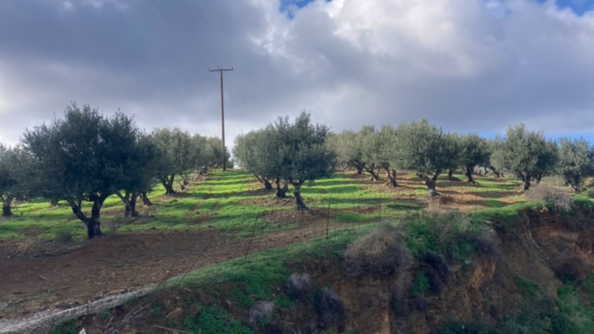 The Art of the Overnight: Leather Duffels for Short Trips