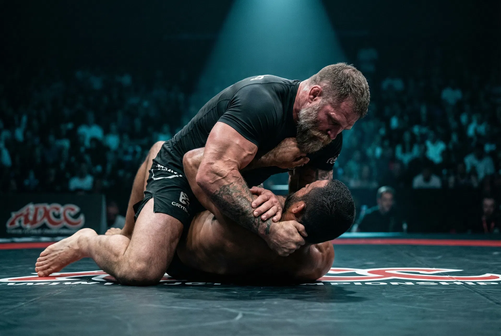 Submission Wrestling