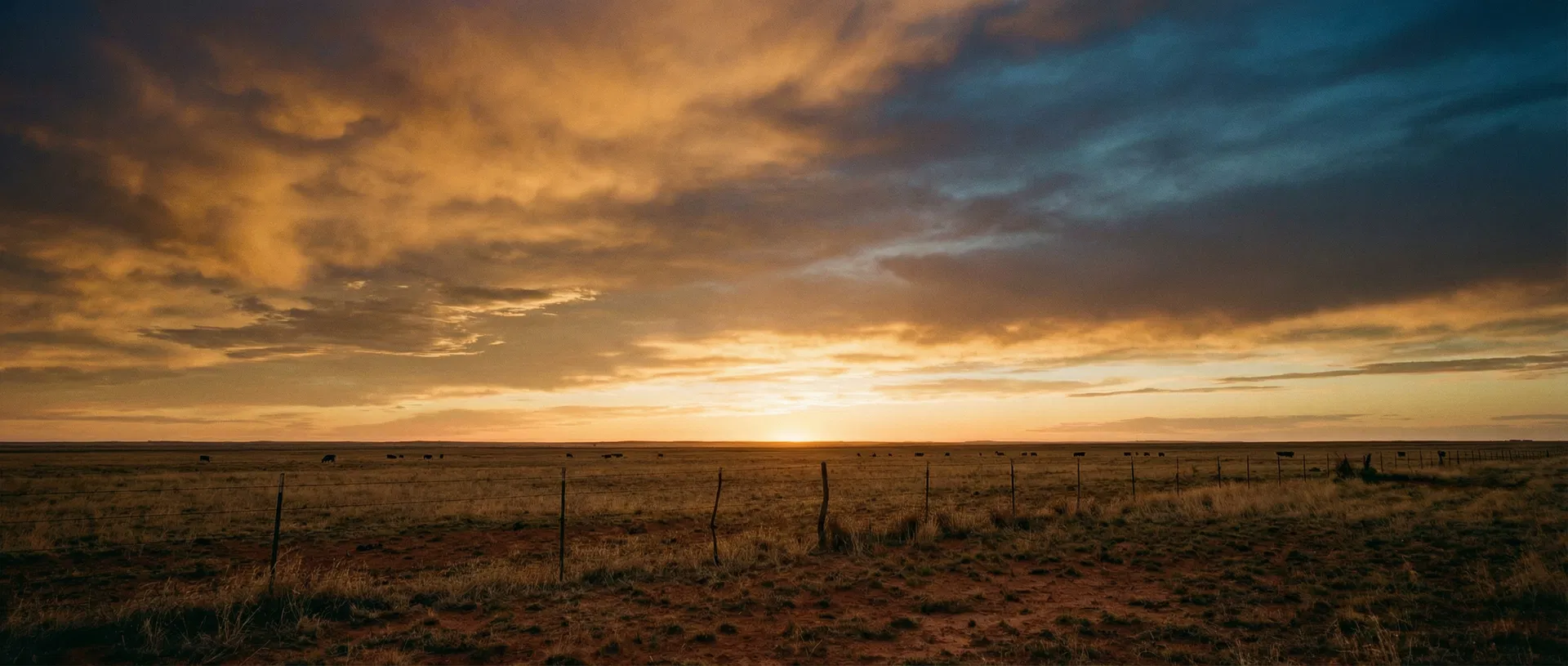 Texas Panhandle landscape at golden hour