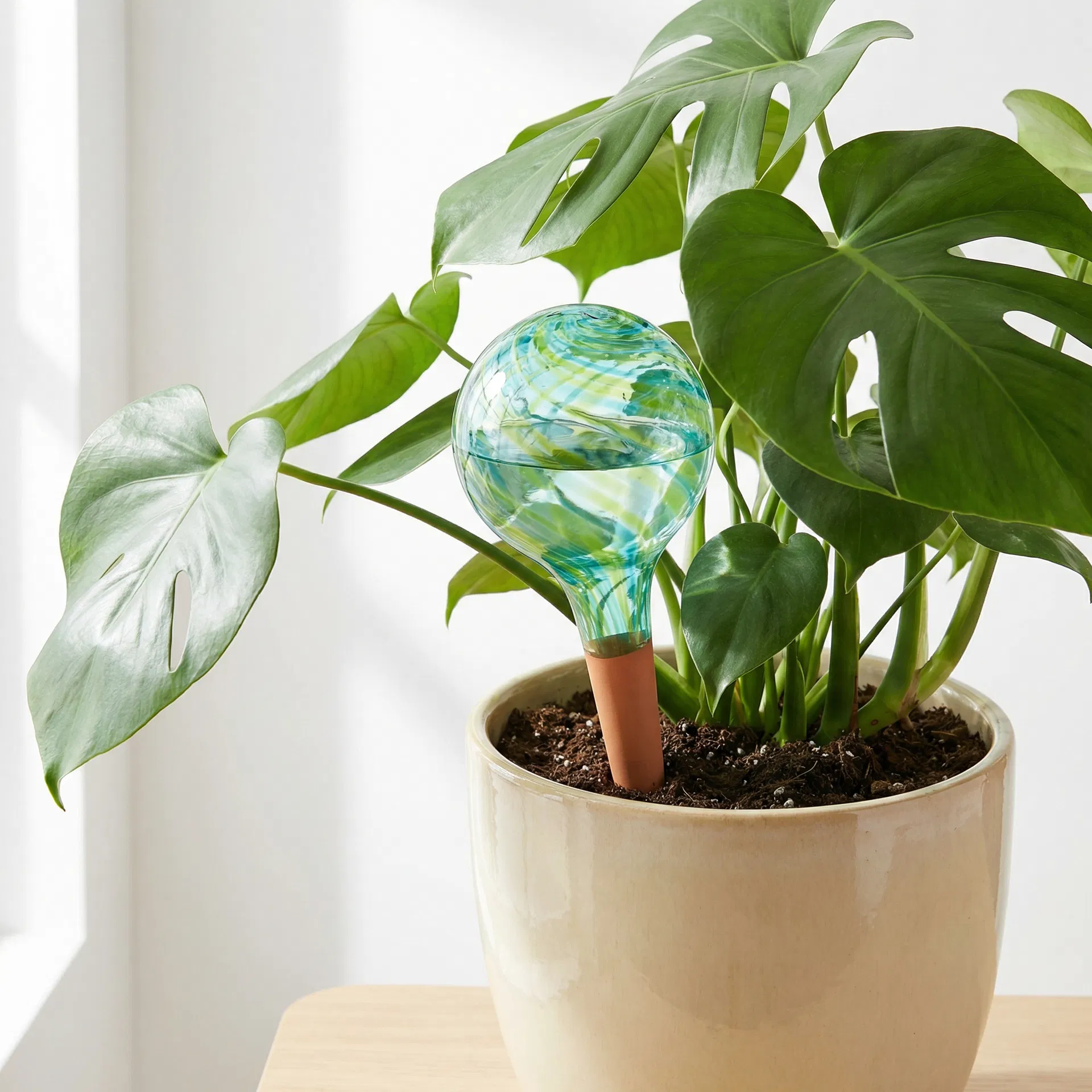 After PlantPal