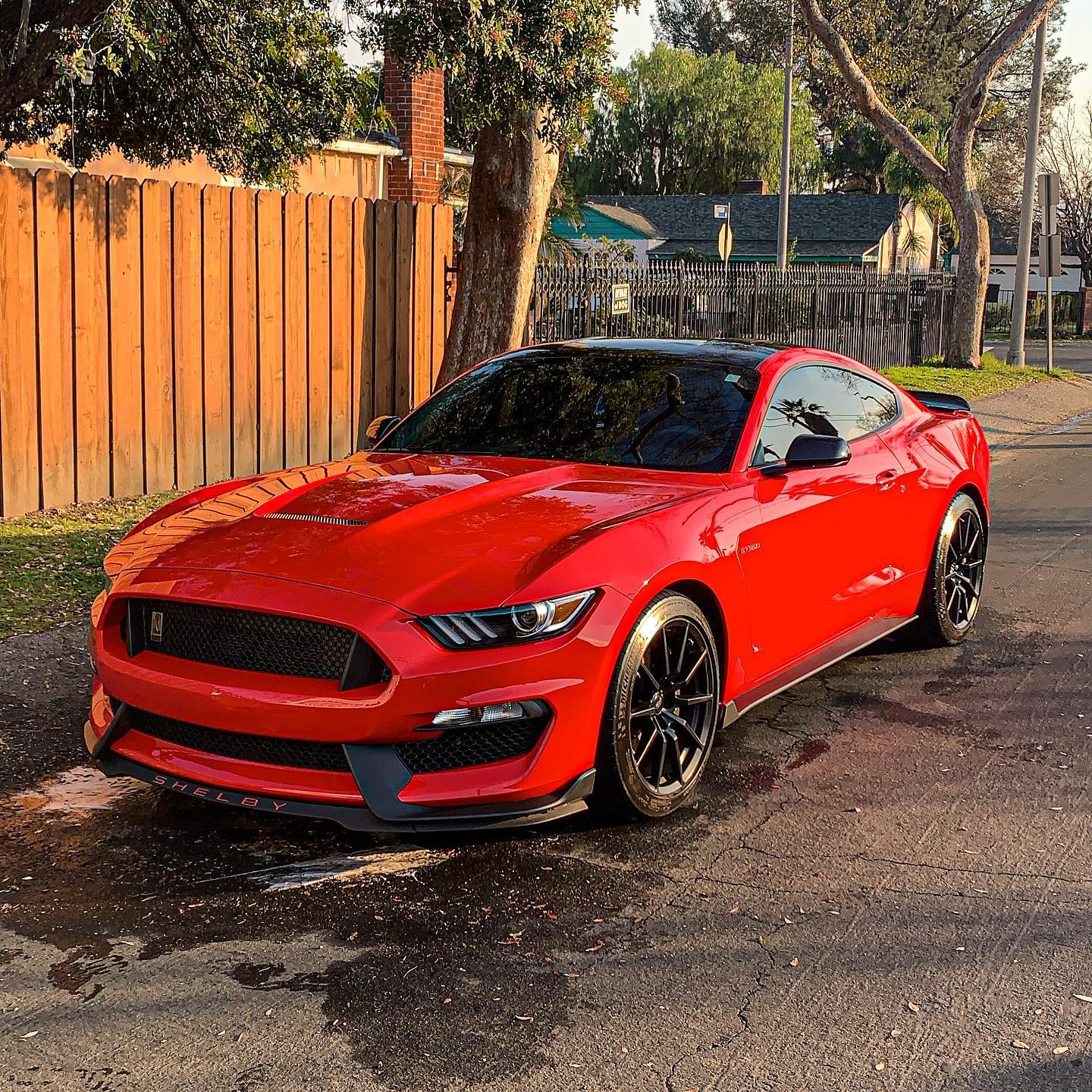 Paint Correction